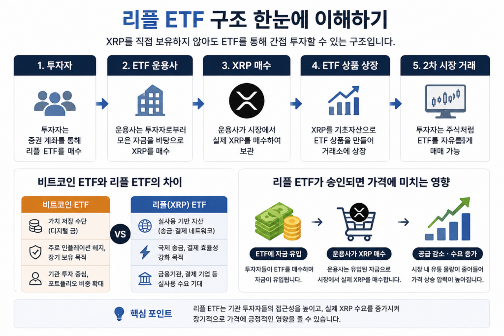 리플 ETF 구조를 단계별로 설명한 인포그래픽 이미지, 투자자 자금이 ETF 운용사를 통해 XRP 매수로 연결되고 ETF 상품으로 상장되는 과정을 한눈에 정리한 XRP ETF 설명 이미지. 비트코인 ETF와 리플 ETF 차이점, ETF 승인 시 가격에 미치는 영향까지 초보자 기준으로 쉽게 설명한 가상화폐 분석 자료